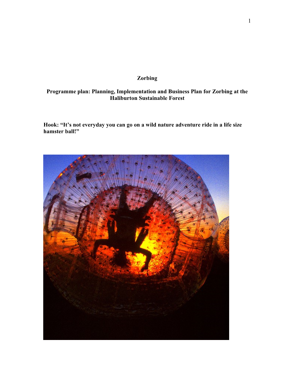 Zorbing Programme Plan