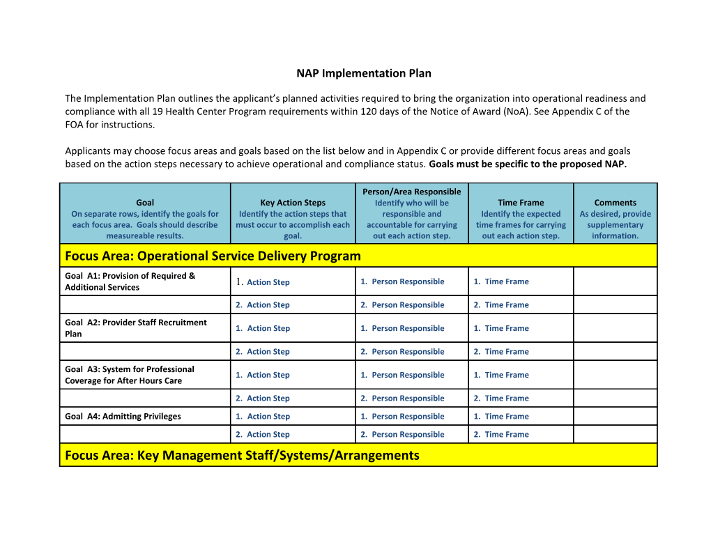 NAP Implementation Plan