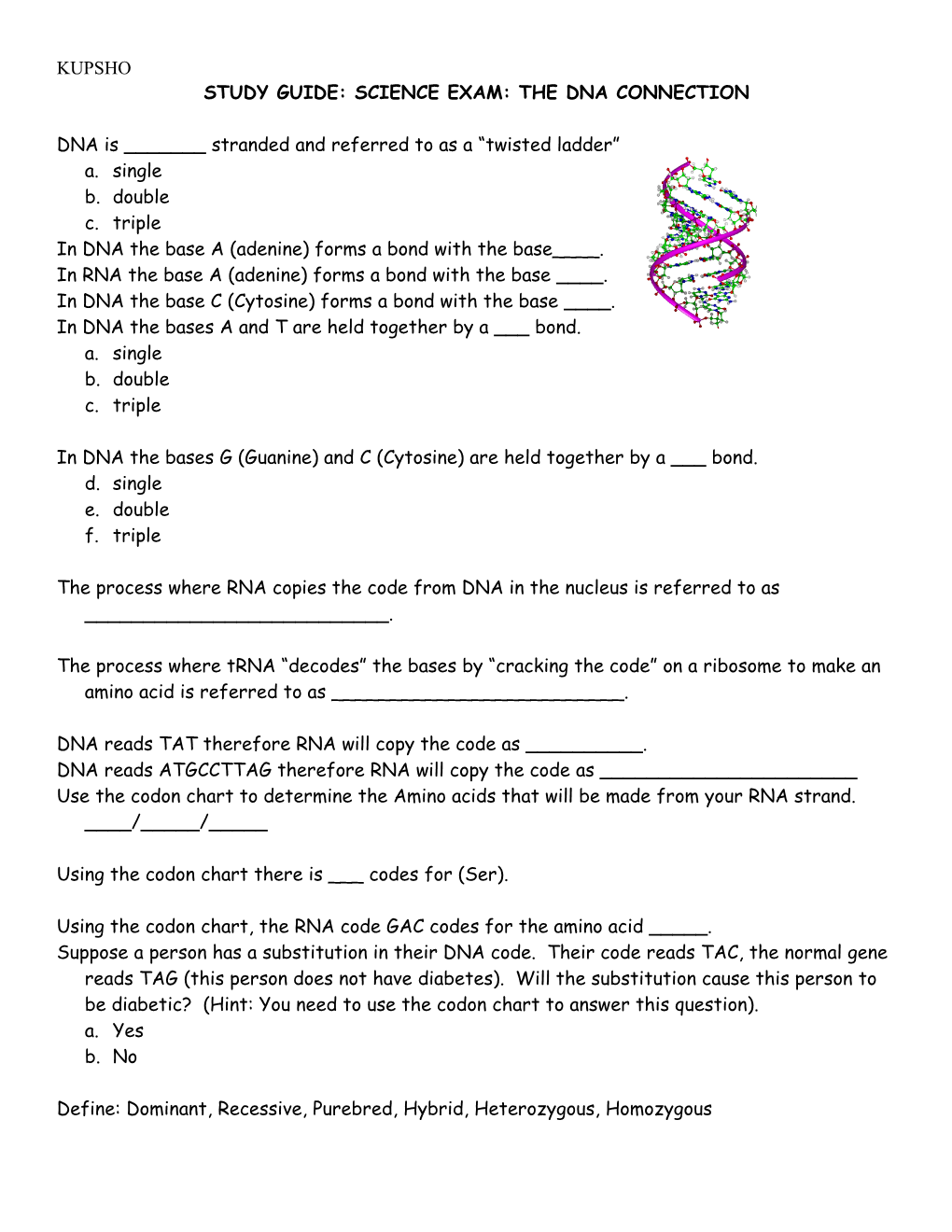Study Guide: Science Exam: the Dna Connection