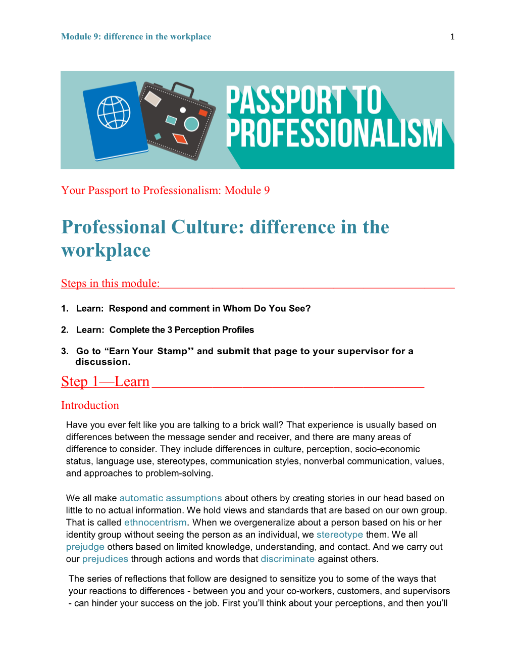 Professional Culture: Difference in the Workplace