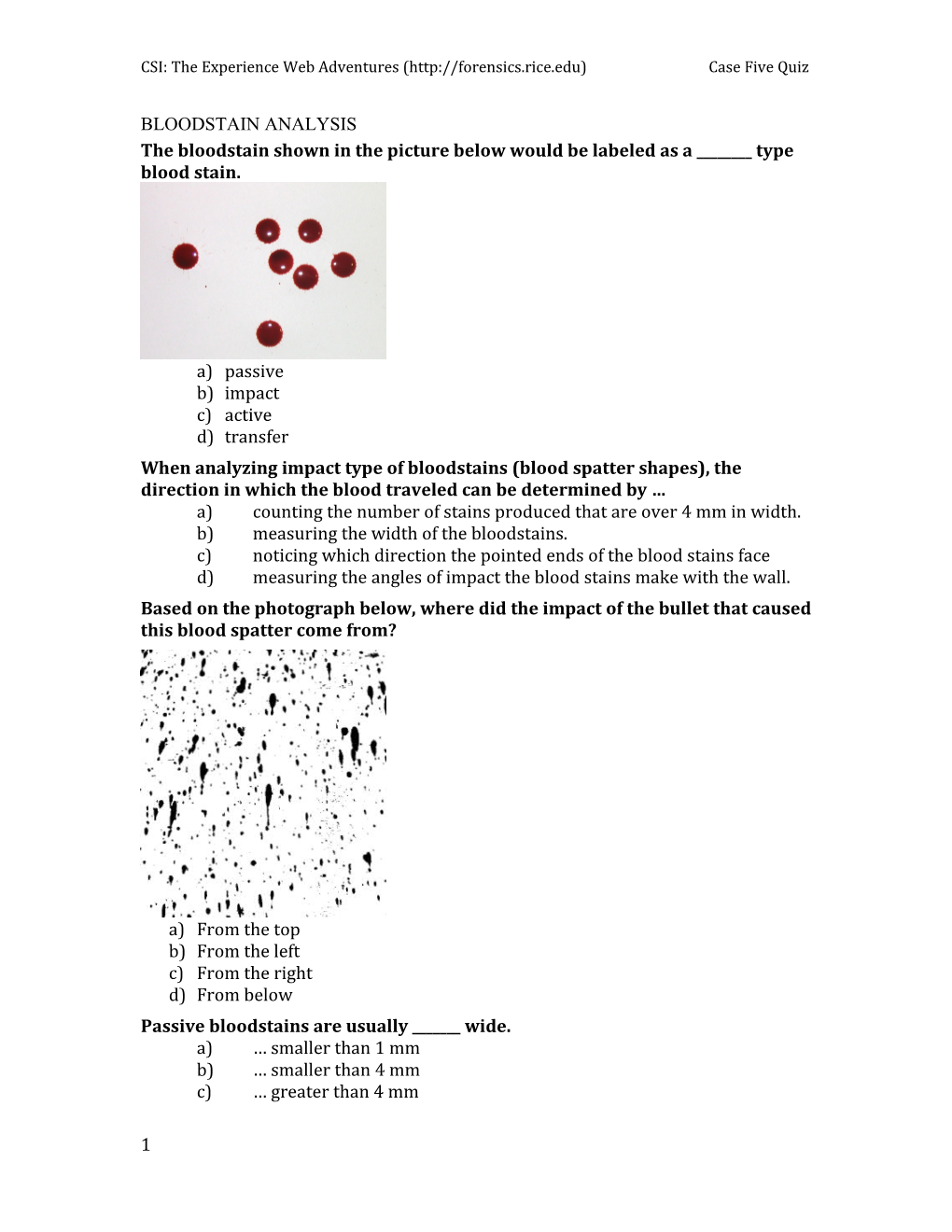 CSI: the Experience Web Adventures ( Case Five Quiz