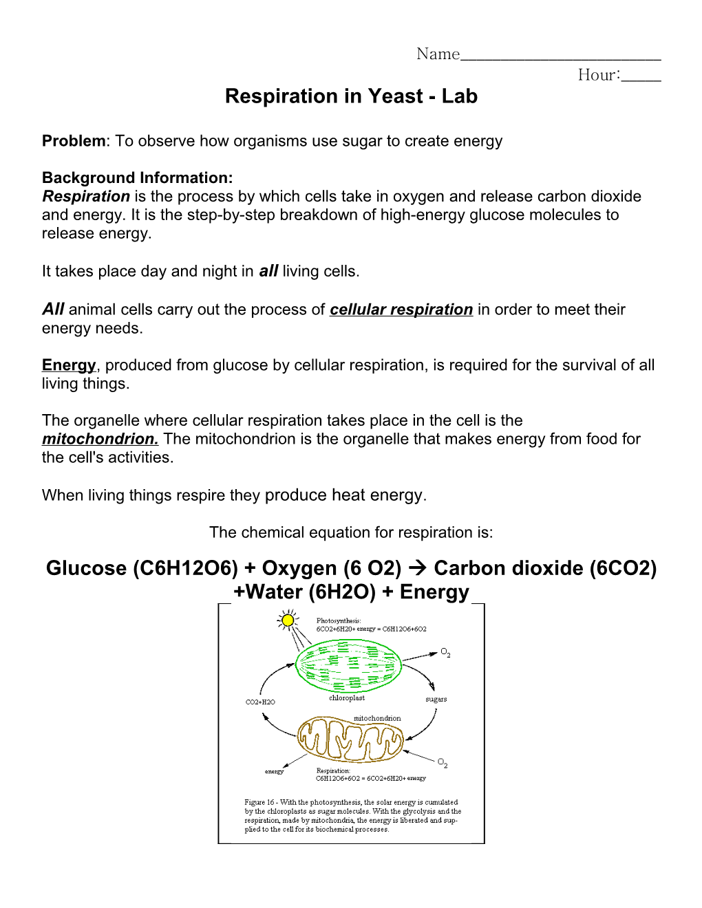 Yeast Respiration Lab