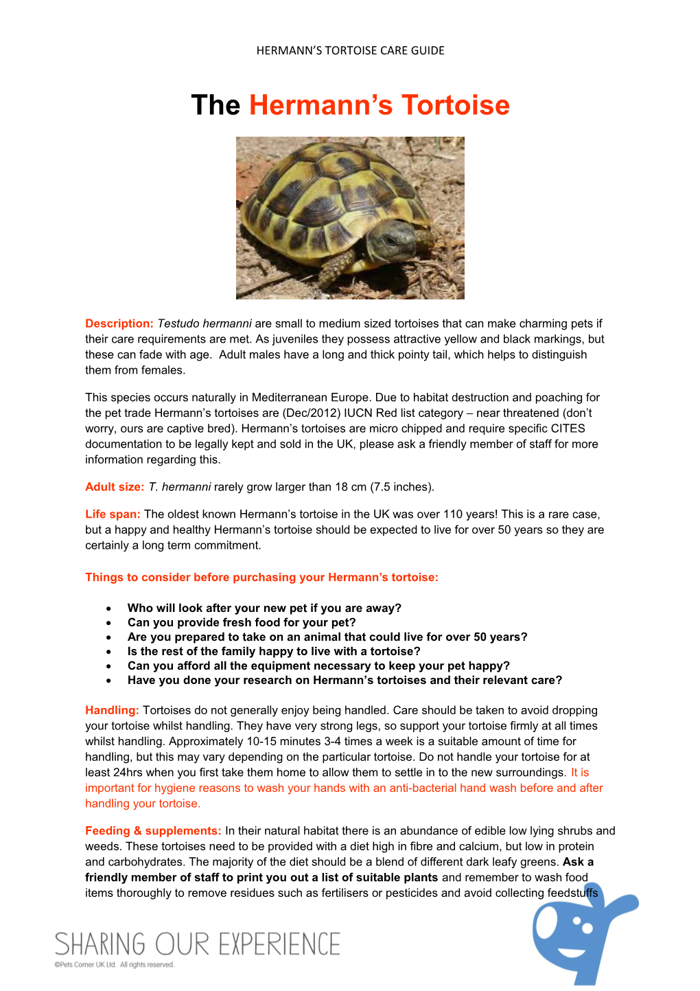 Hermann S Tortoise Care Guide