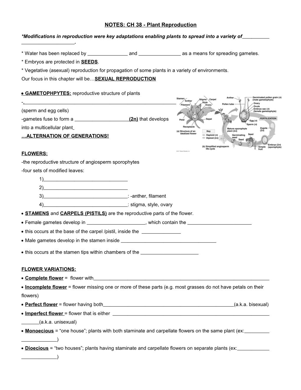 NOTES: Plant Reproduction and Development (Ch 38)