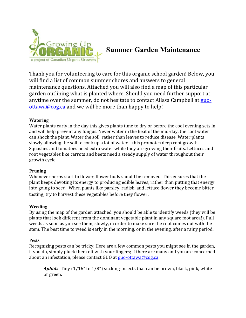 Summer Garden Maintenance