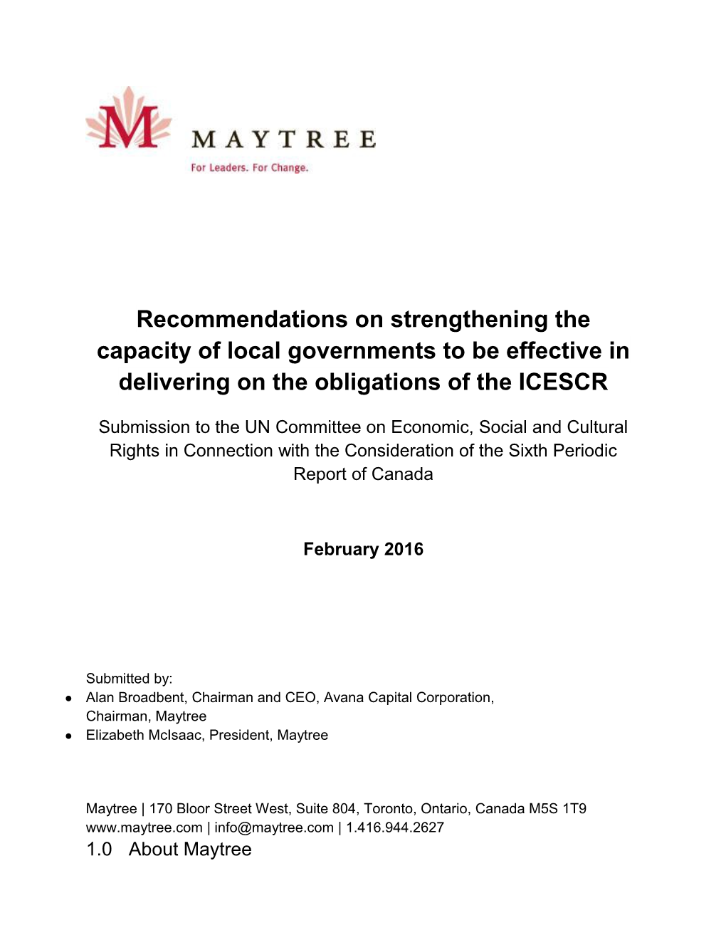 Recommendations on Strengthening the Capacity of Local Governments to Be Effective In