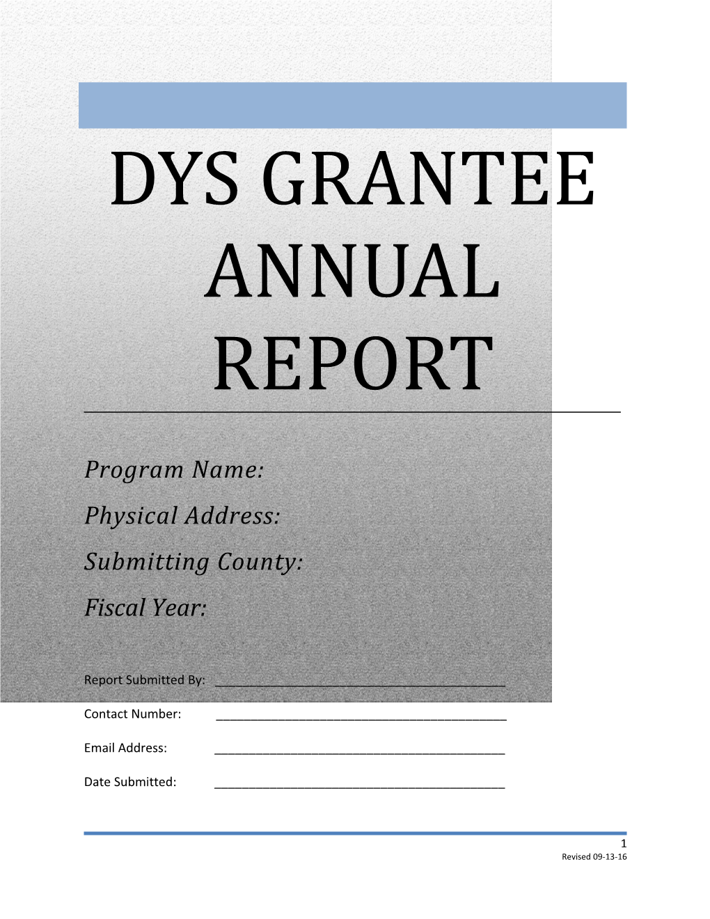 Dys Grantee Annual Report