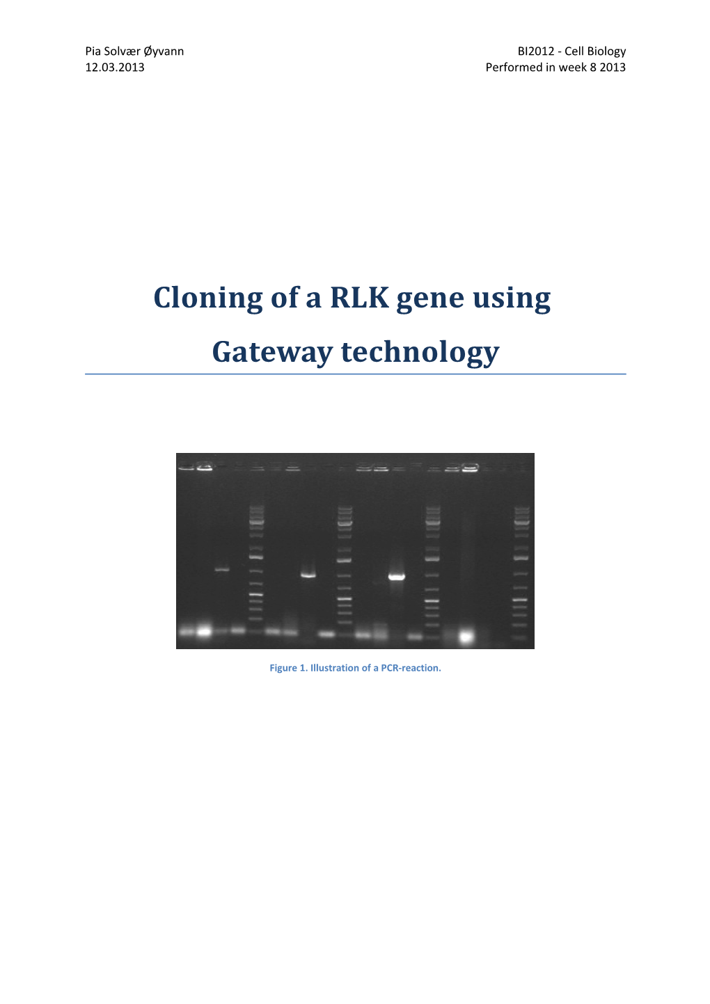 Cloning of a RLK Gene Using