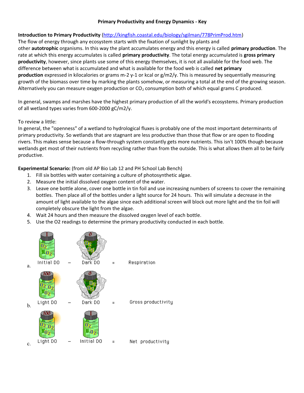 Primary Productivity and Energy Dynamics - Key