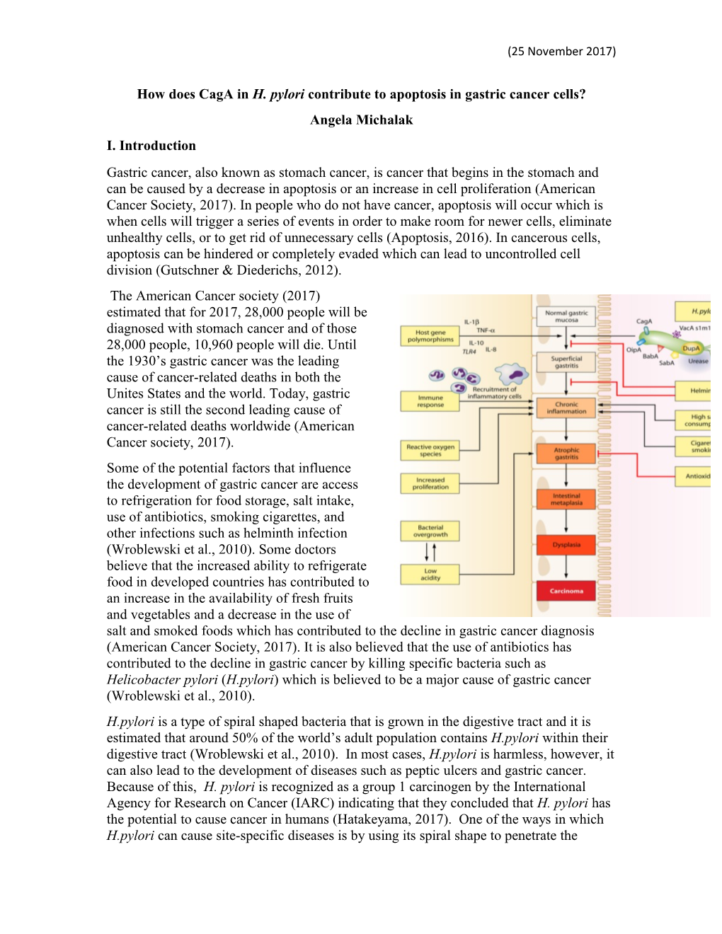 How Does Caga in H. Pylori Contribute to Apoptosis in Gastric Cancer Cells?