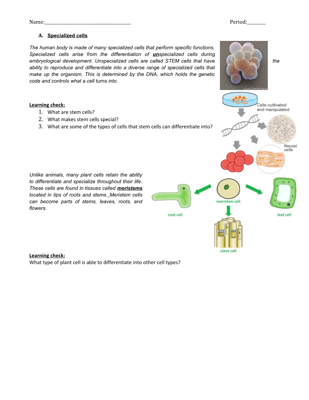 1.What Are Stem Cells?