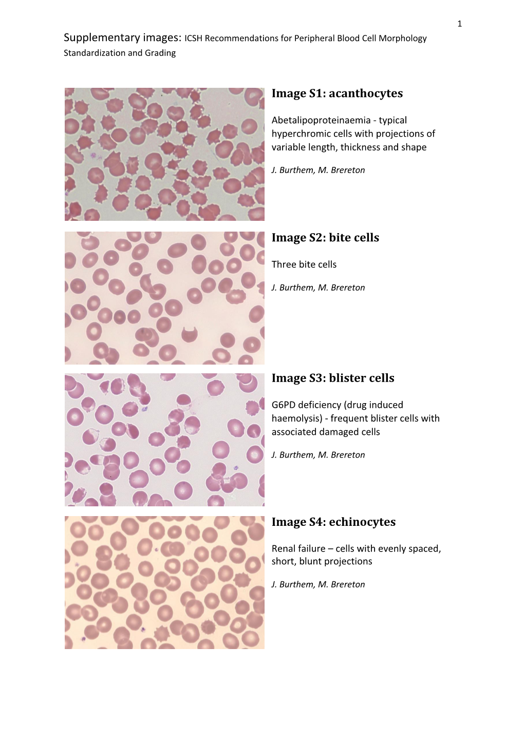 Supplementary Images: ICSH Recommendations for Peripheral Blood Cell Morphology