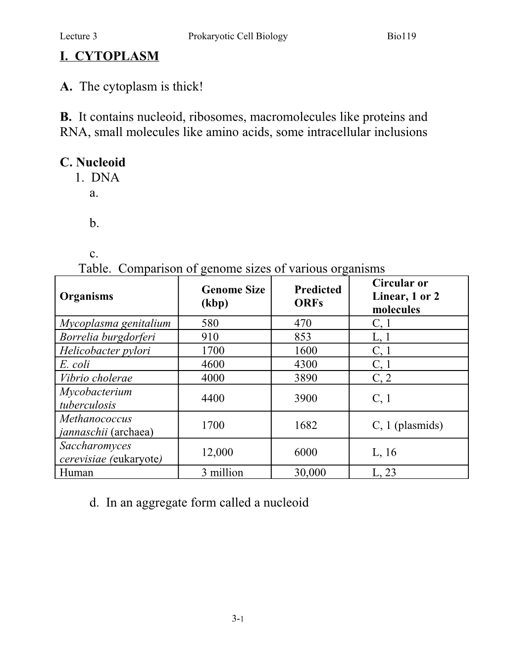 Lecture 3 Prokaryotic Cell Biology