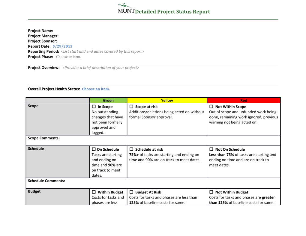 Detailed Project Status Report