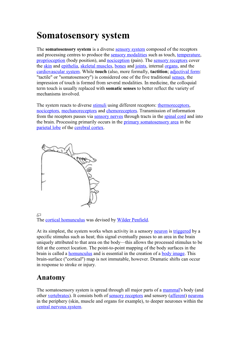 Somatosensory System