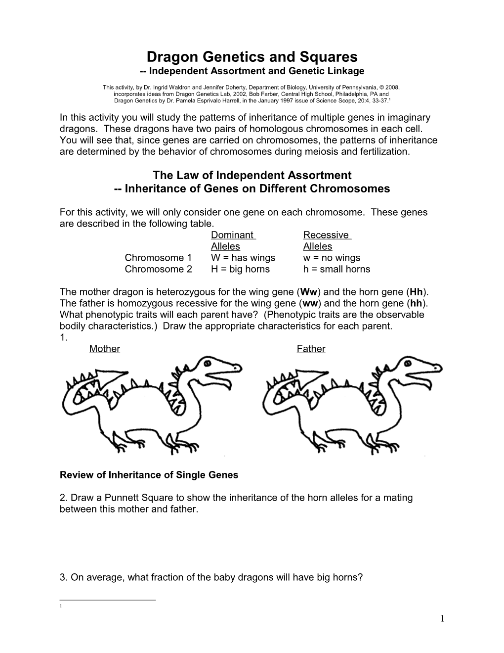 Dragon Genetics and Squares