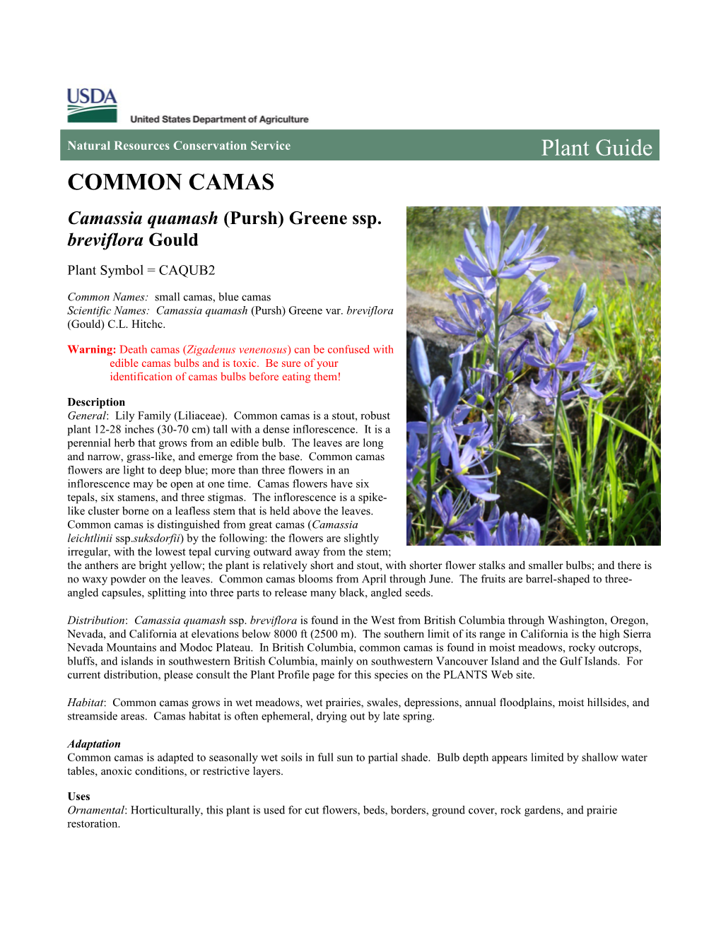 Common Camas (Camassia Quamash Ssp. Breviflora) Plant Guide