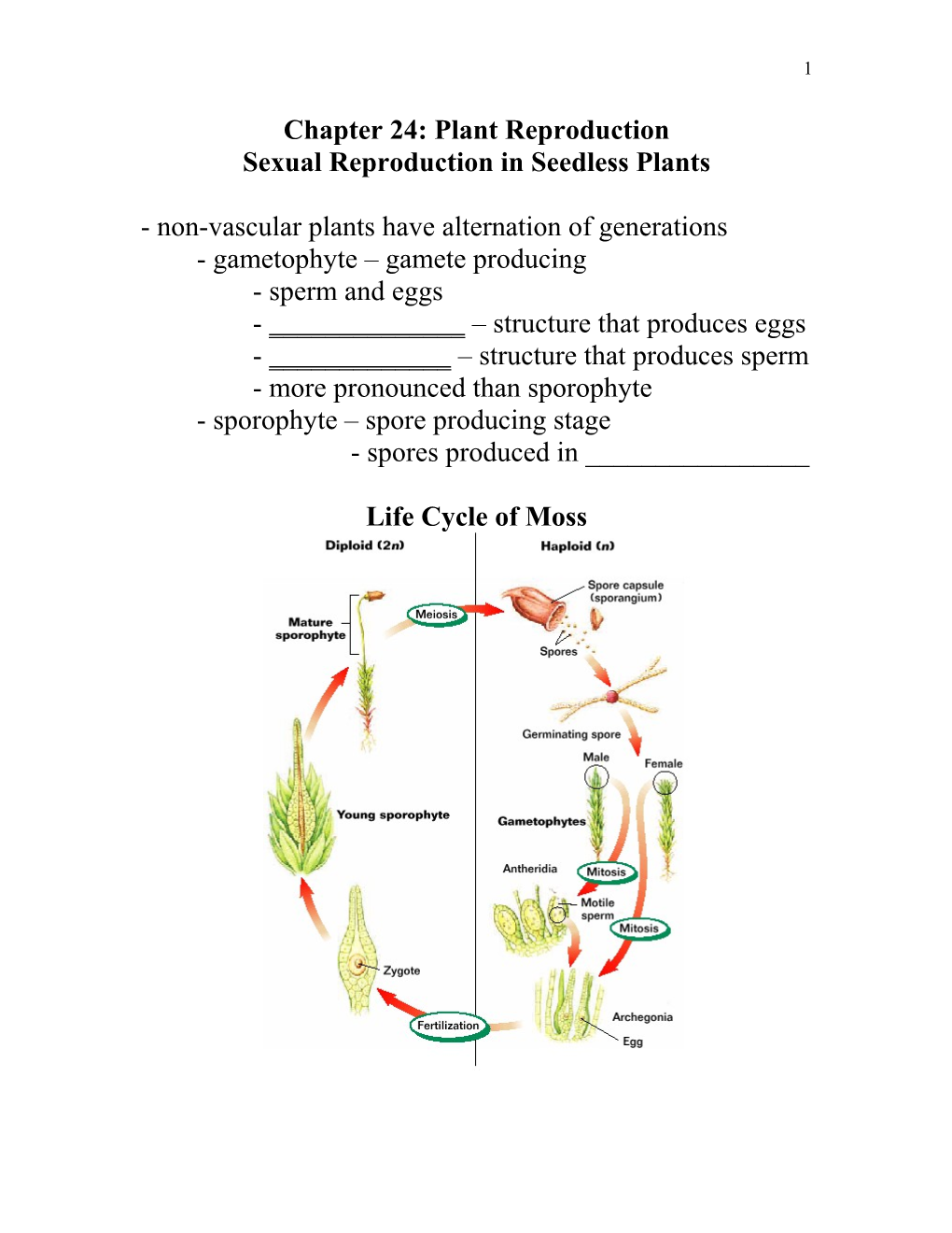 Chapter 24: Plant Reproduction