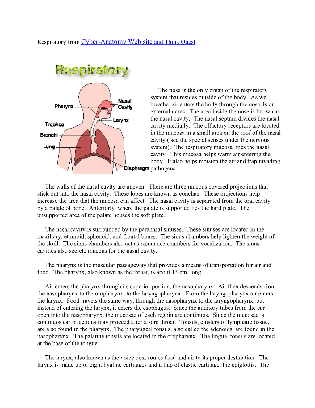 Respiratory from Cyber-Anatomy Web Site and Think Quest