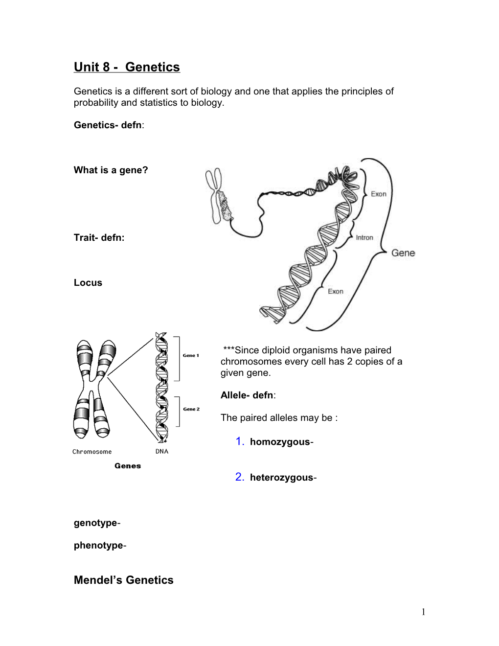 Unit 8 - Genetics