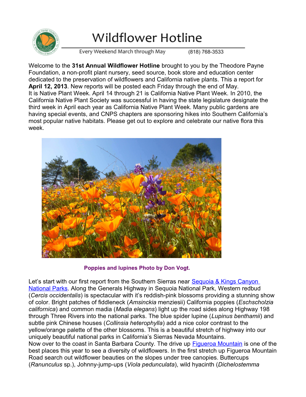 Poppies and Lupines Photo by Don Vogt