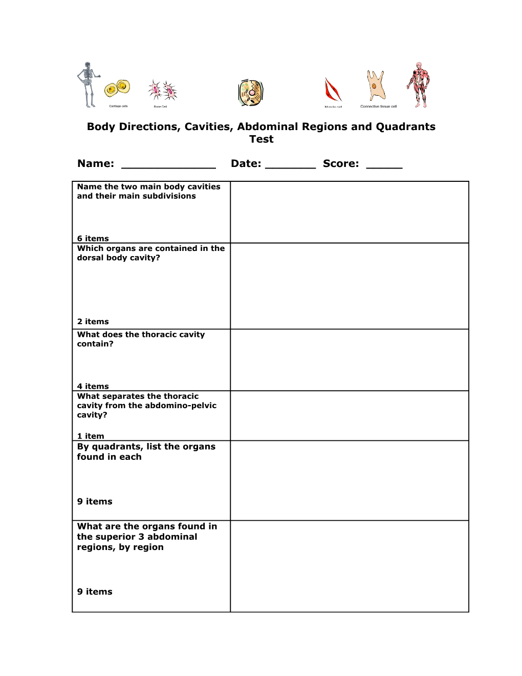 Body Directions, Cavities, Abdominal Regions and Quadrants Test