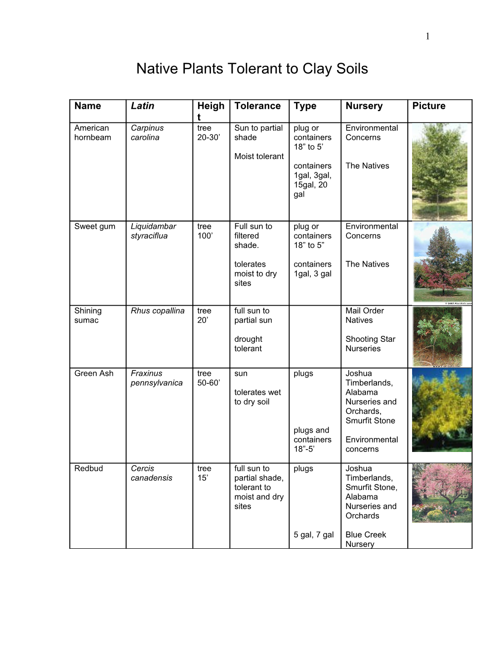 Native Plants Tolerant to Clay Soils