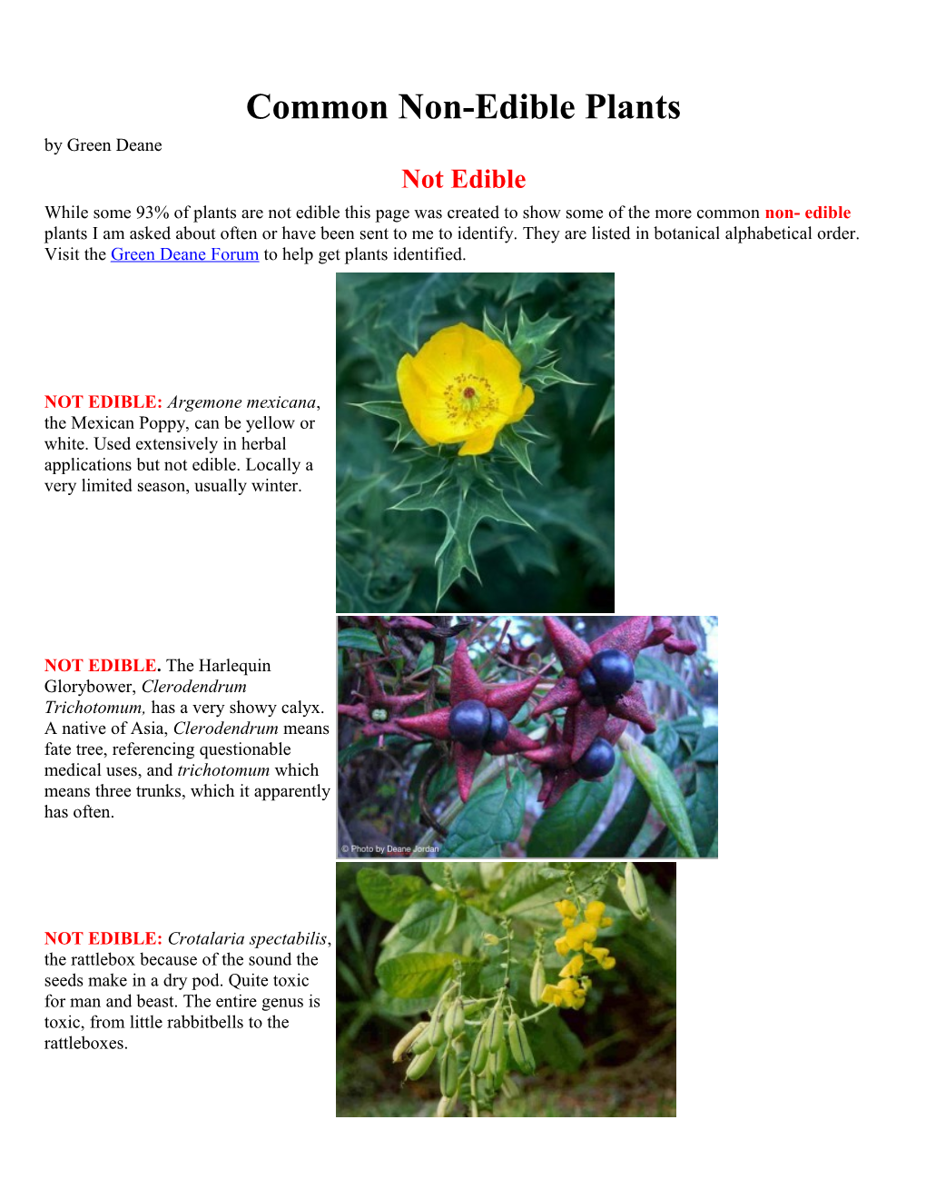 Common Non-Edible Plants