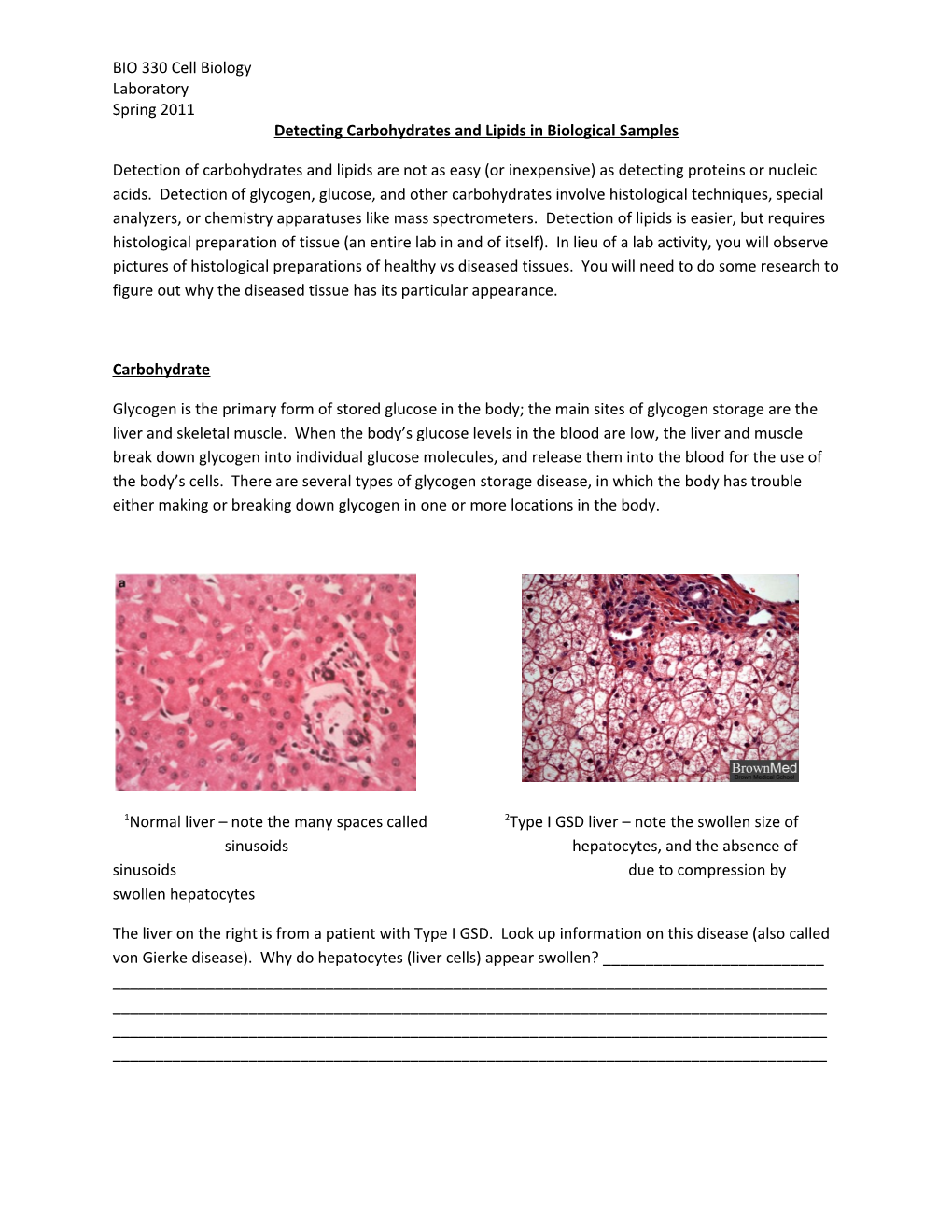 Detecting Carbohydrates and Lipids in Biological Samples