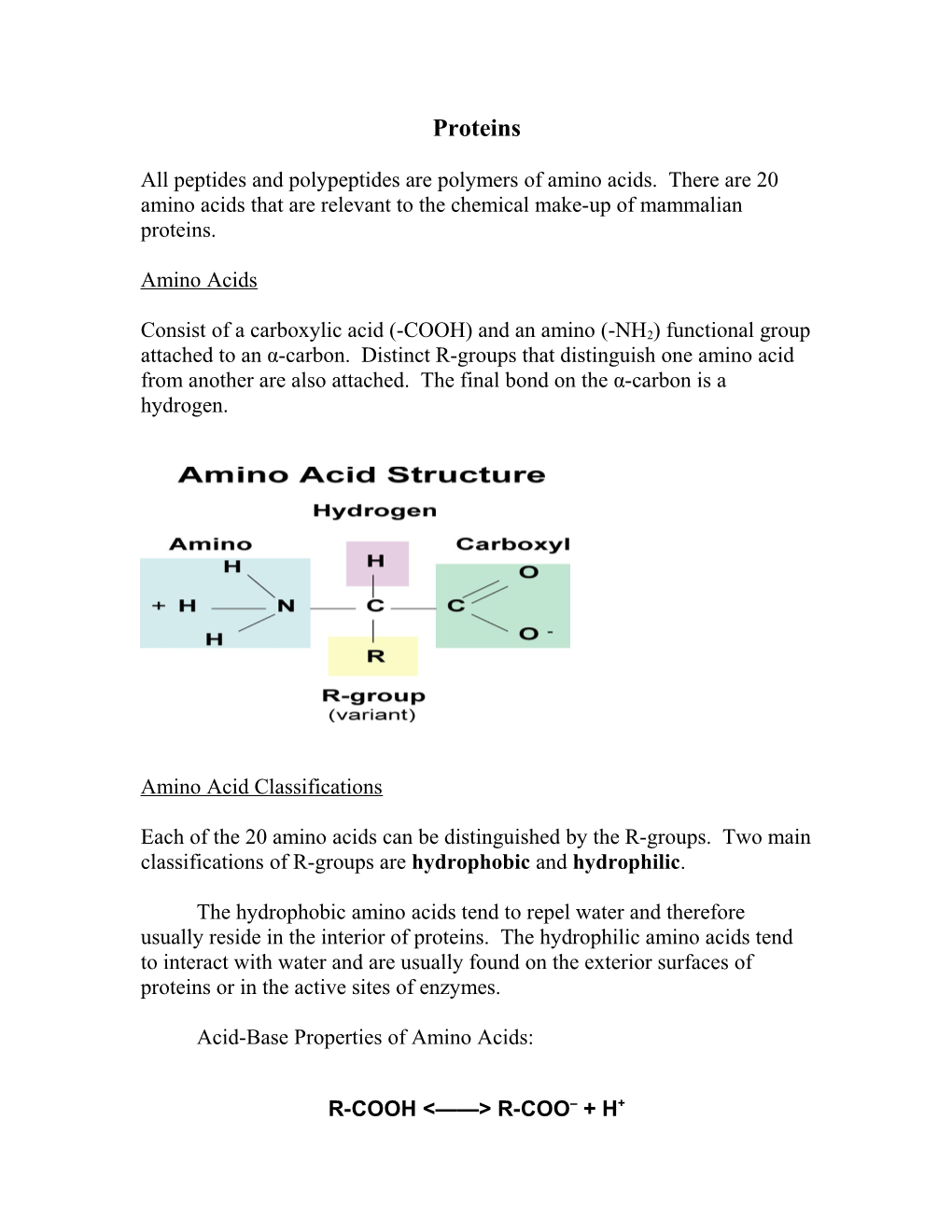 All Peptides and Polypeptides Are Polymers of Amino Acids. There Are 20 Amino Acids That