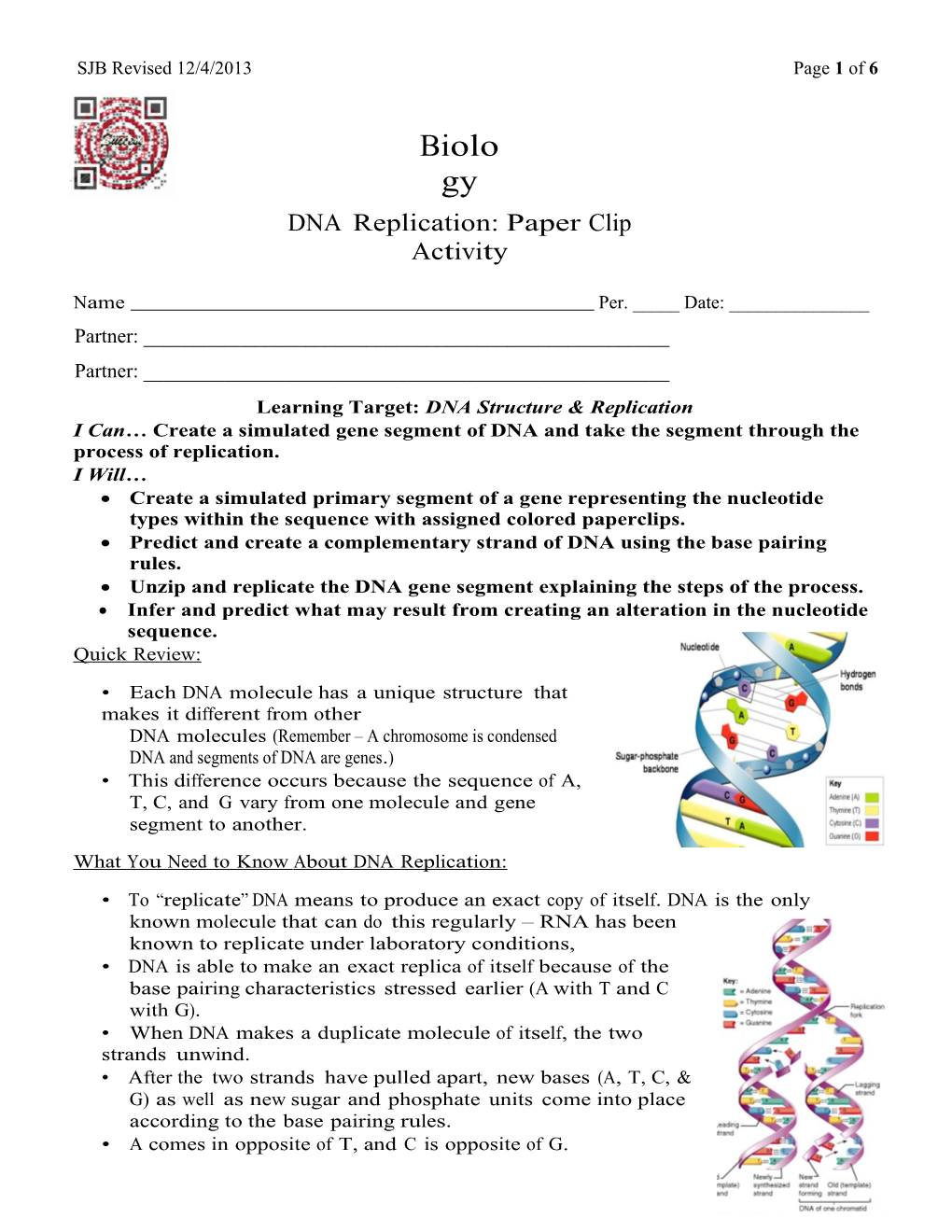 DNA Replication Paper Clip Activity