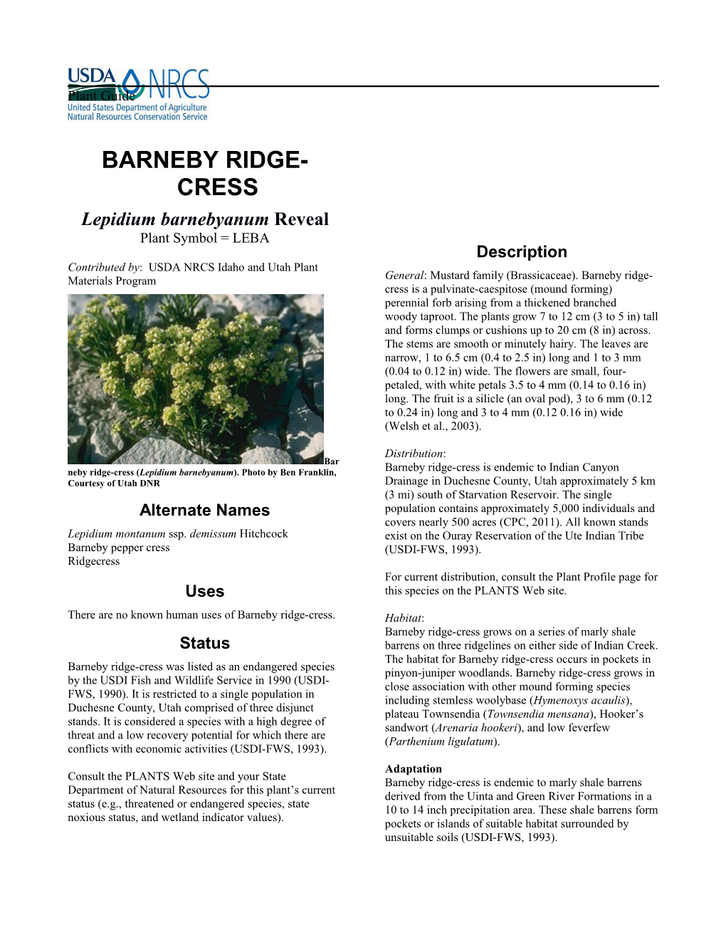 Plant Guide for Barneby Ridge-Cress (Lepidium Barnebyanum)