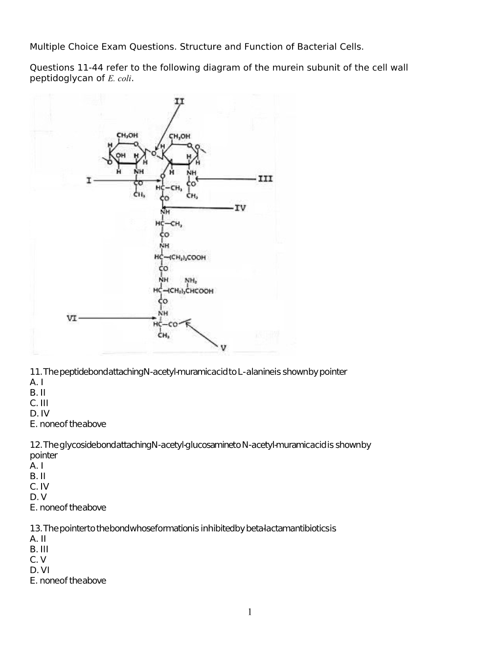 Multiple Choice Exam Questions. Structure and Function of Bacterial Cells