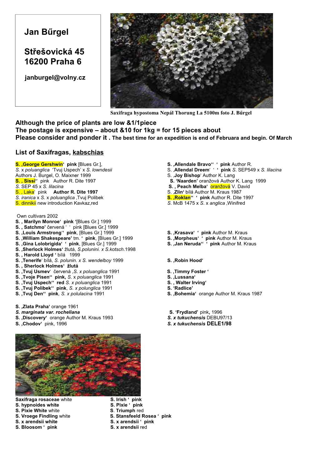 New, Still Not Published Cultivars