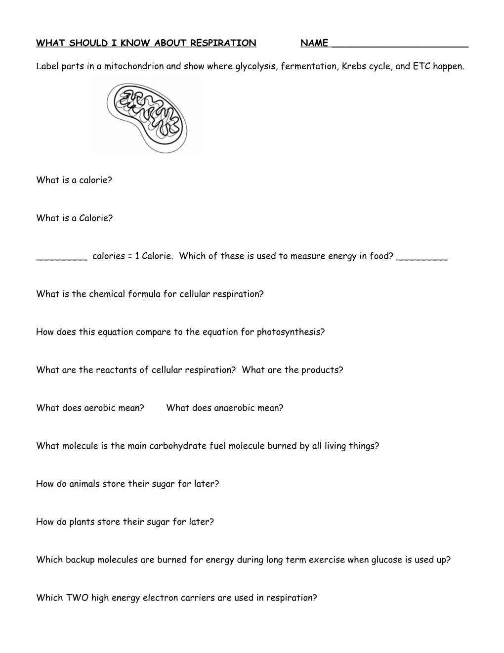 What Should I Know About Respiration Name ______