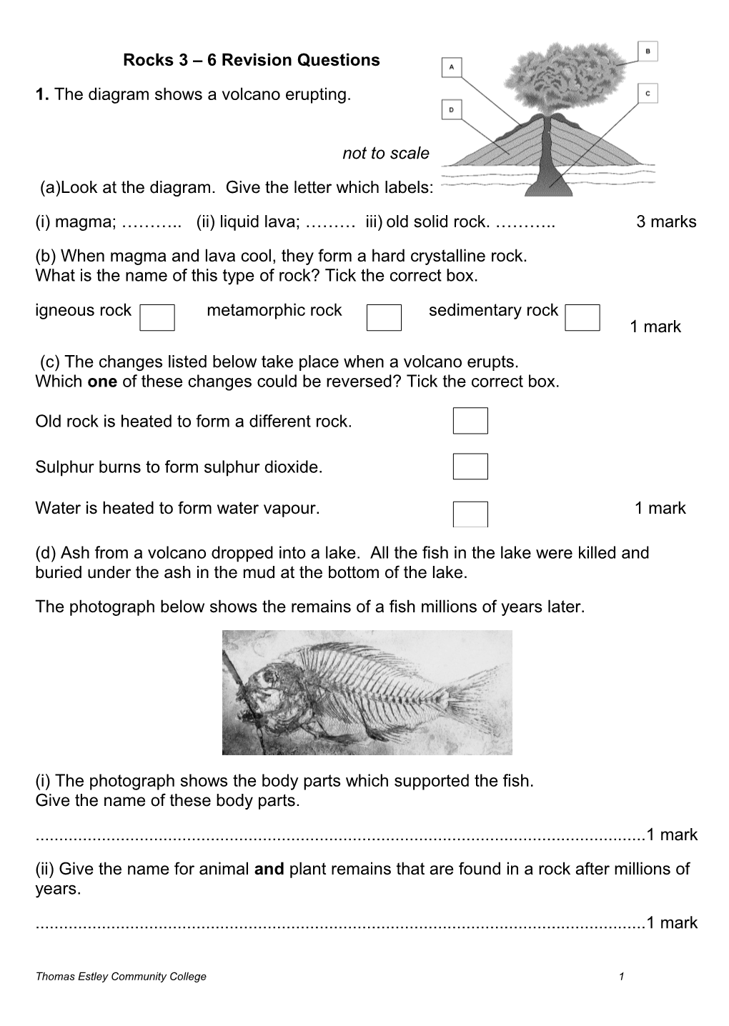 (A)Look at the Diagram. Give the Letter Which Labels