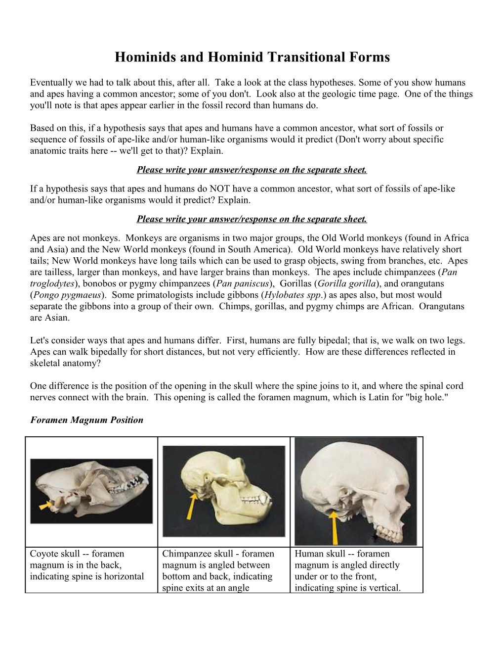 Hominids and Hominid Transitional Forms