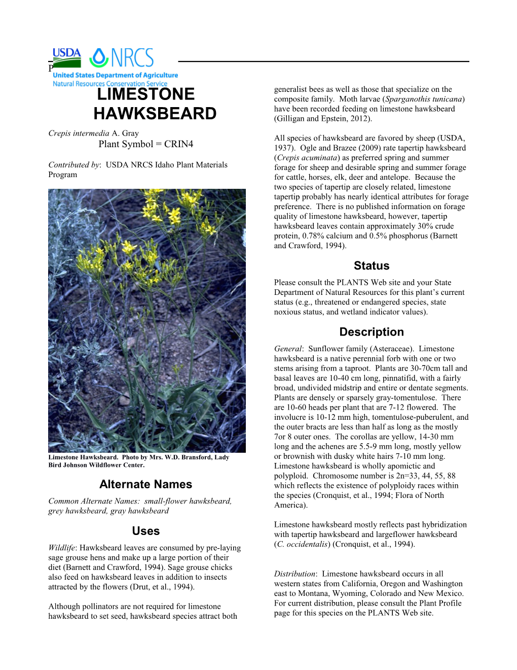 Plant Guide for Limestone Hawksbeard (Crepis Intermedia)