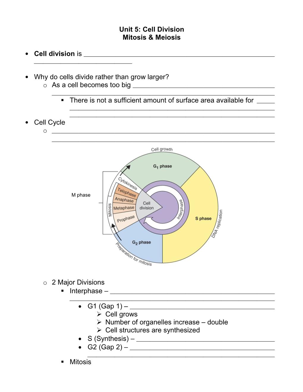 Unit 5: Cell Division