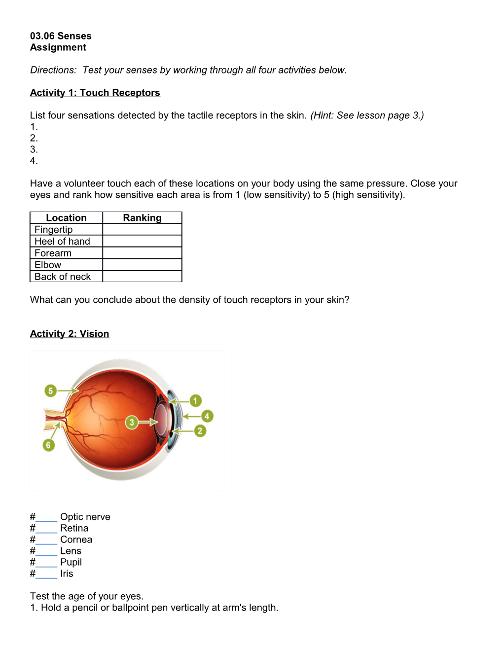 Directions: Test Your Senses by Working Through All Four Activities Below