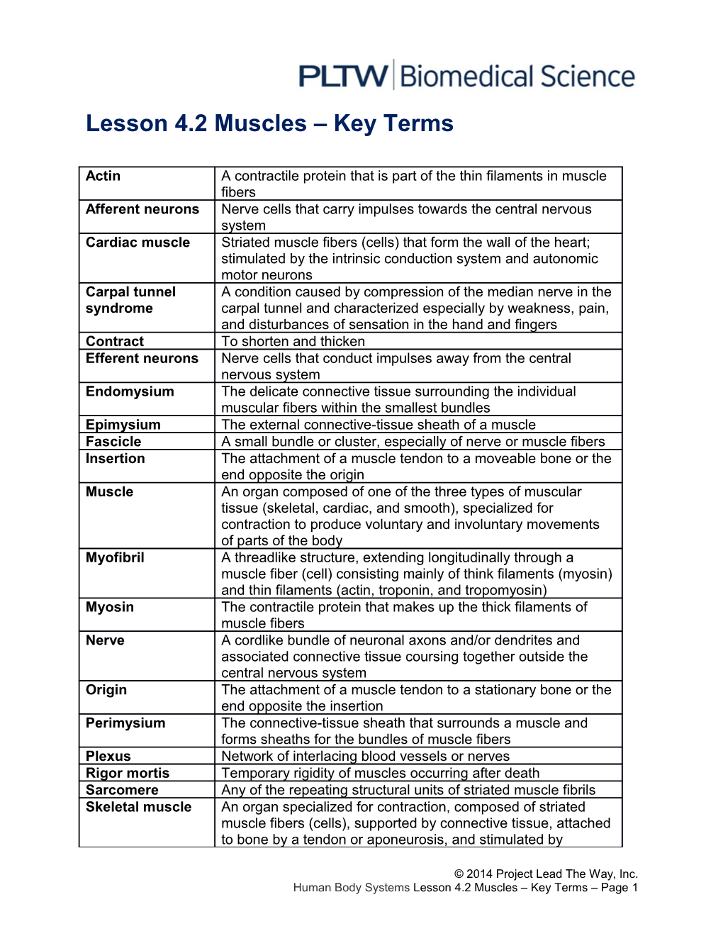 Lesson 4.2 Muscles Key Terms