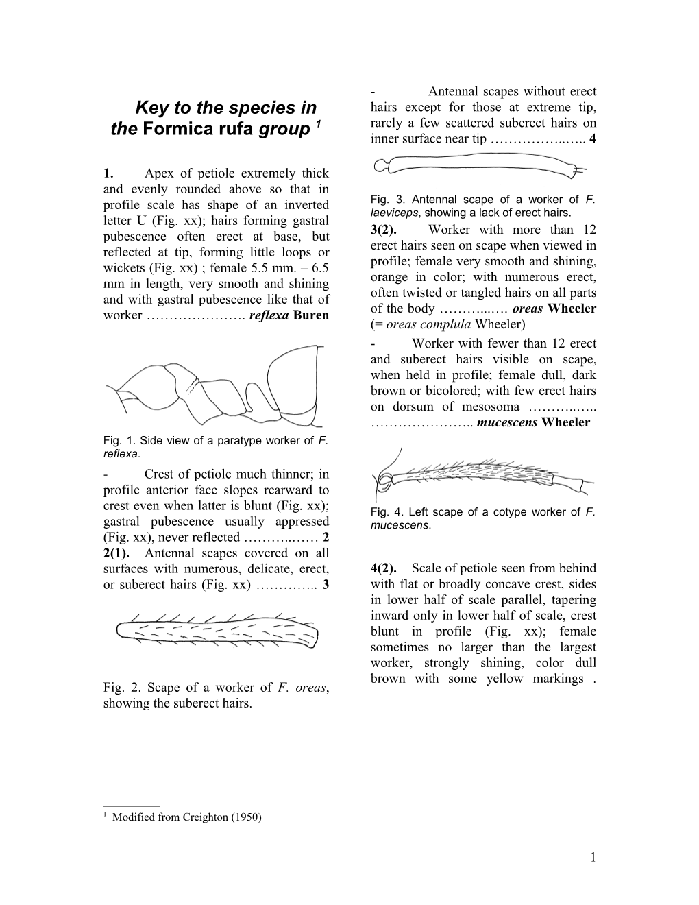 Key to the Species in the Formica Rufa Group