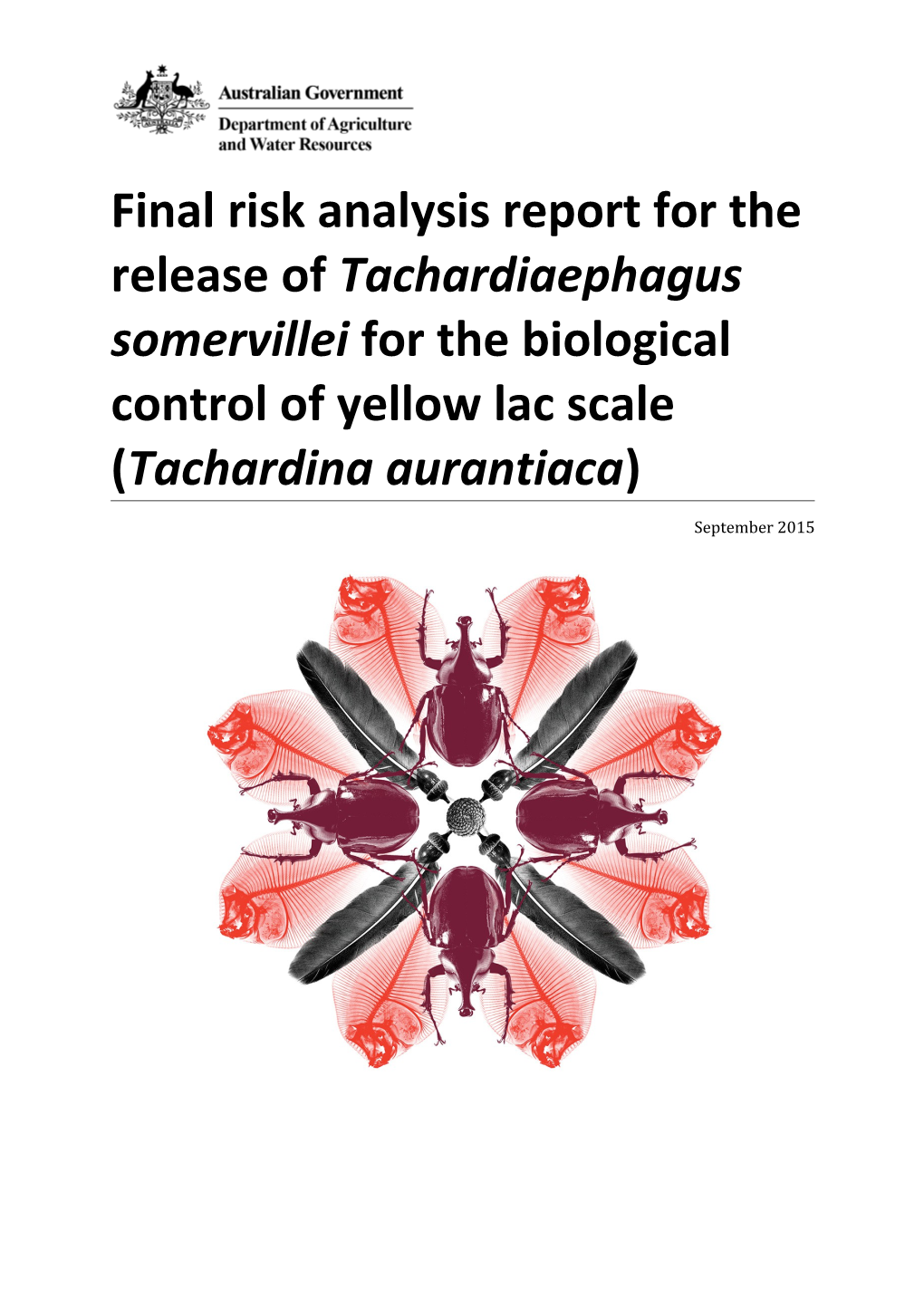 Draft/Provisional Final/Final Risk Analysis Template