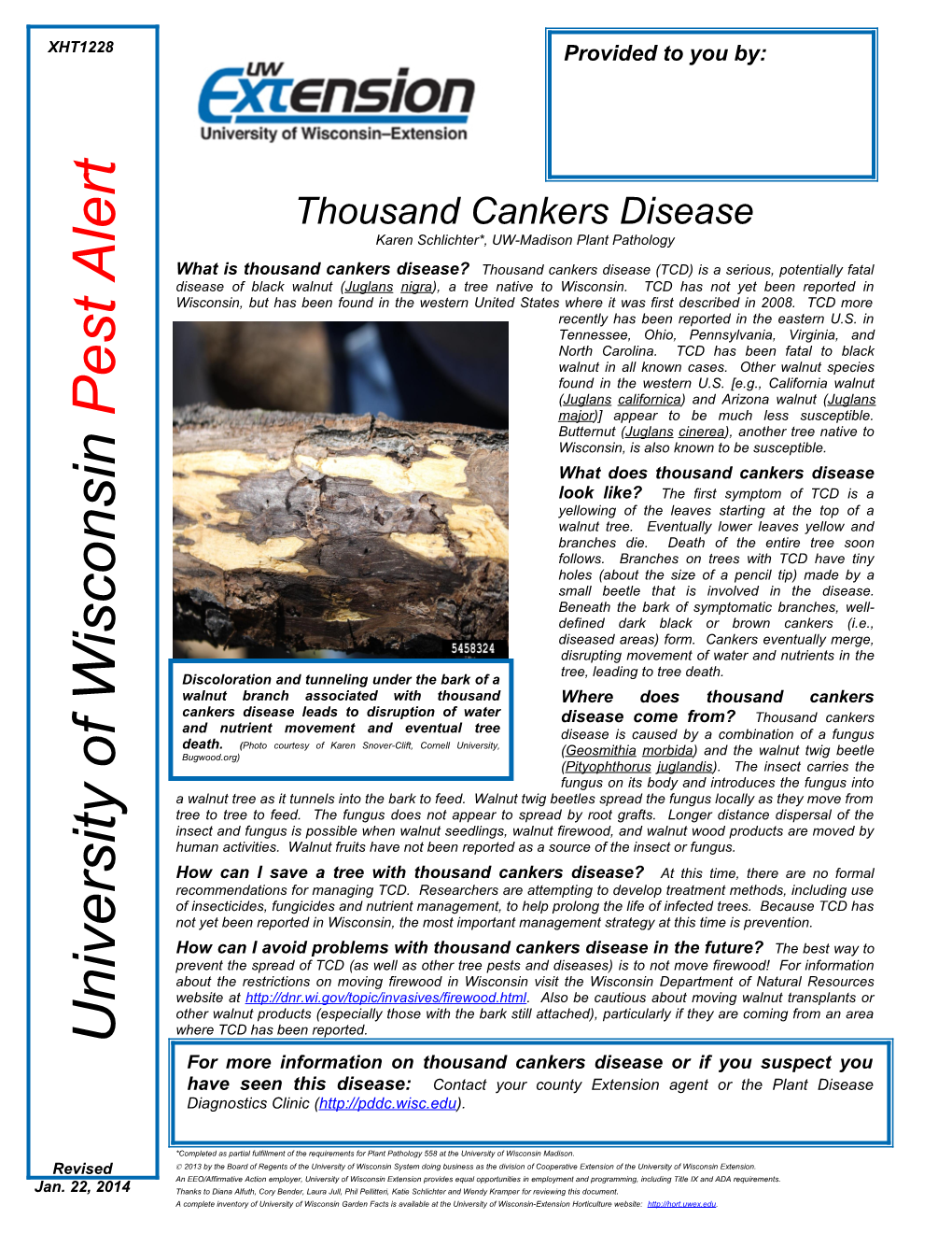 Thousand Cankers Disease