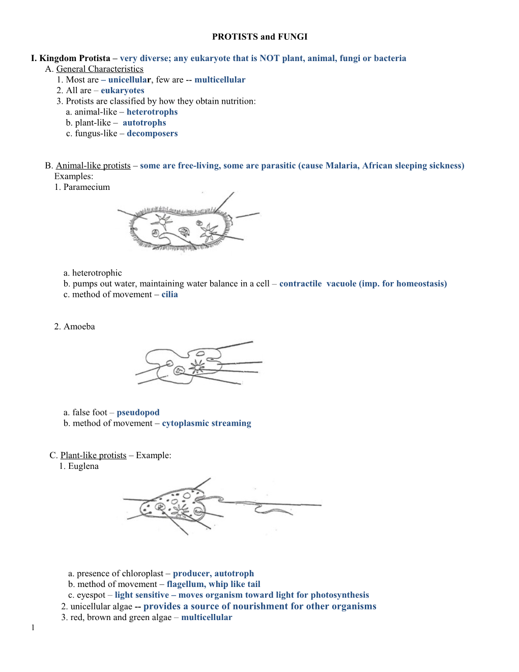 Viruses & Little Kingdoms