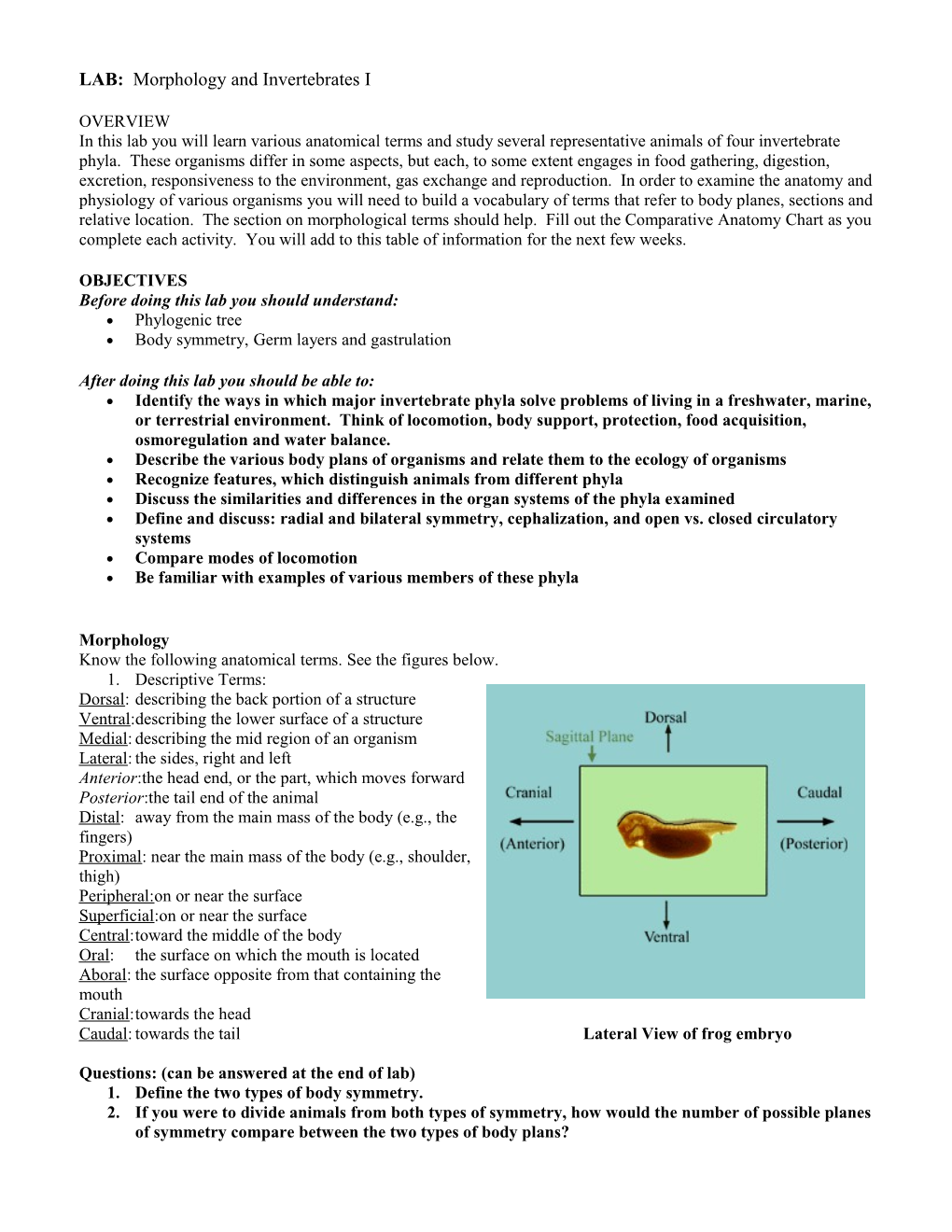 Lab One: Diffusion and Ossmosis