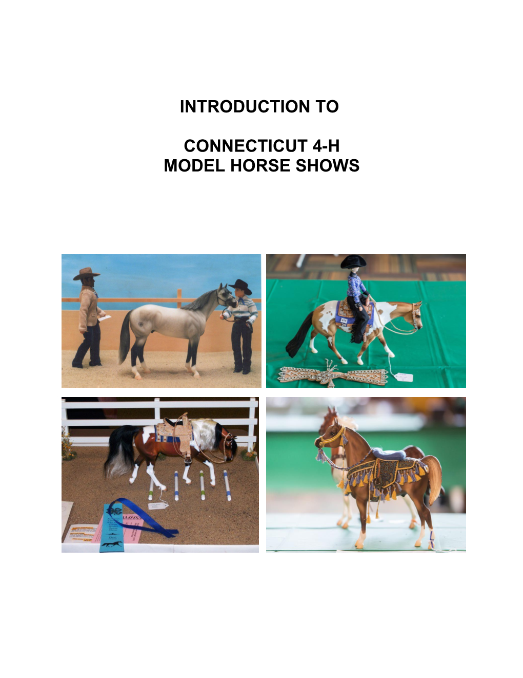 Model Horse Shows