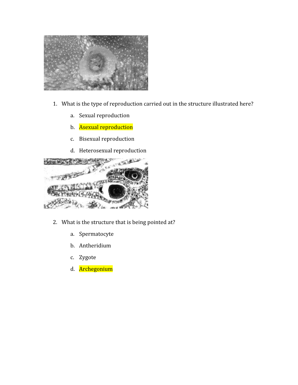 What Is the Type of Reproduction Carried out in the Structure Illustrated Here?