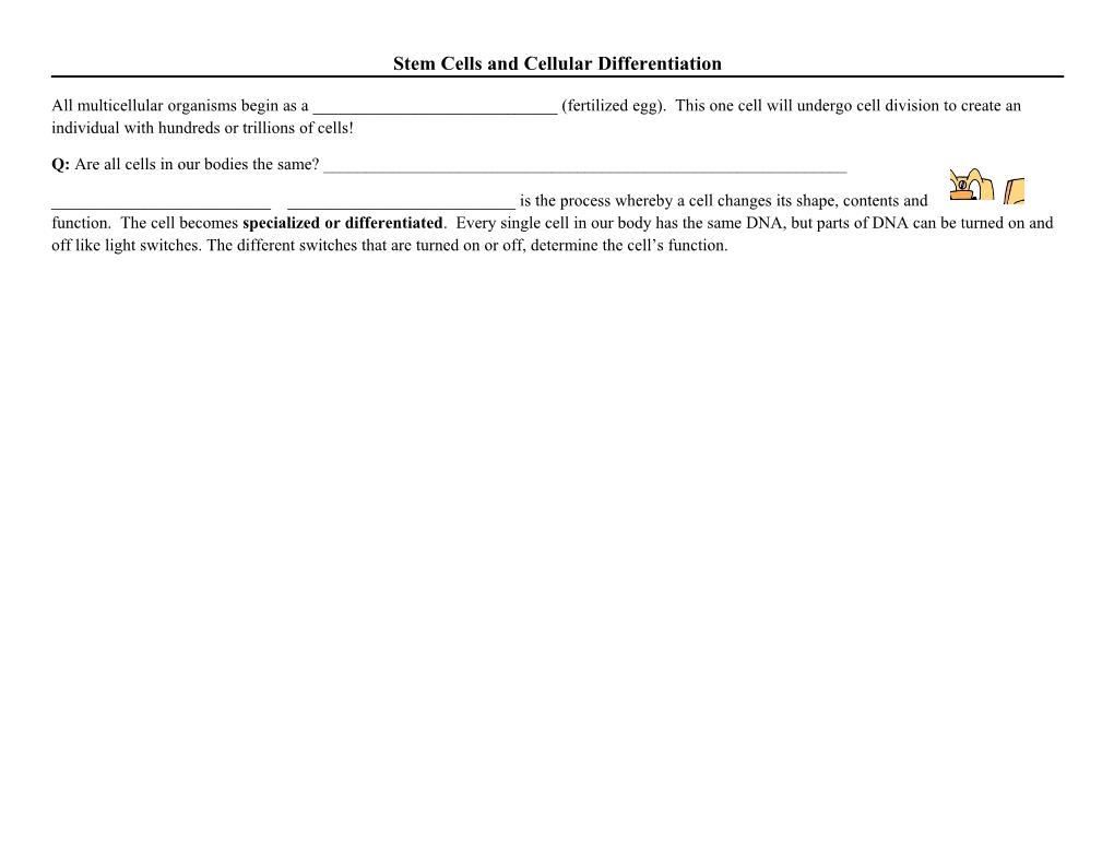 Stem Cells and Cellular Differentiation