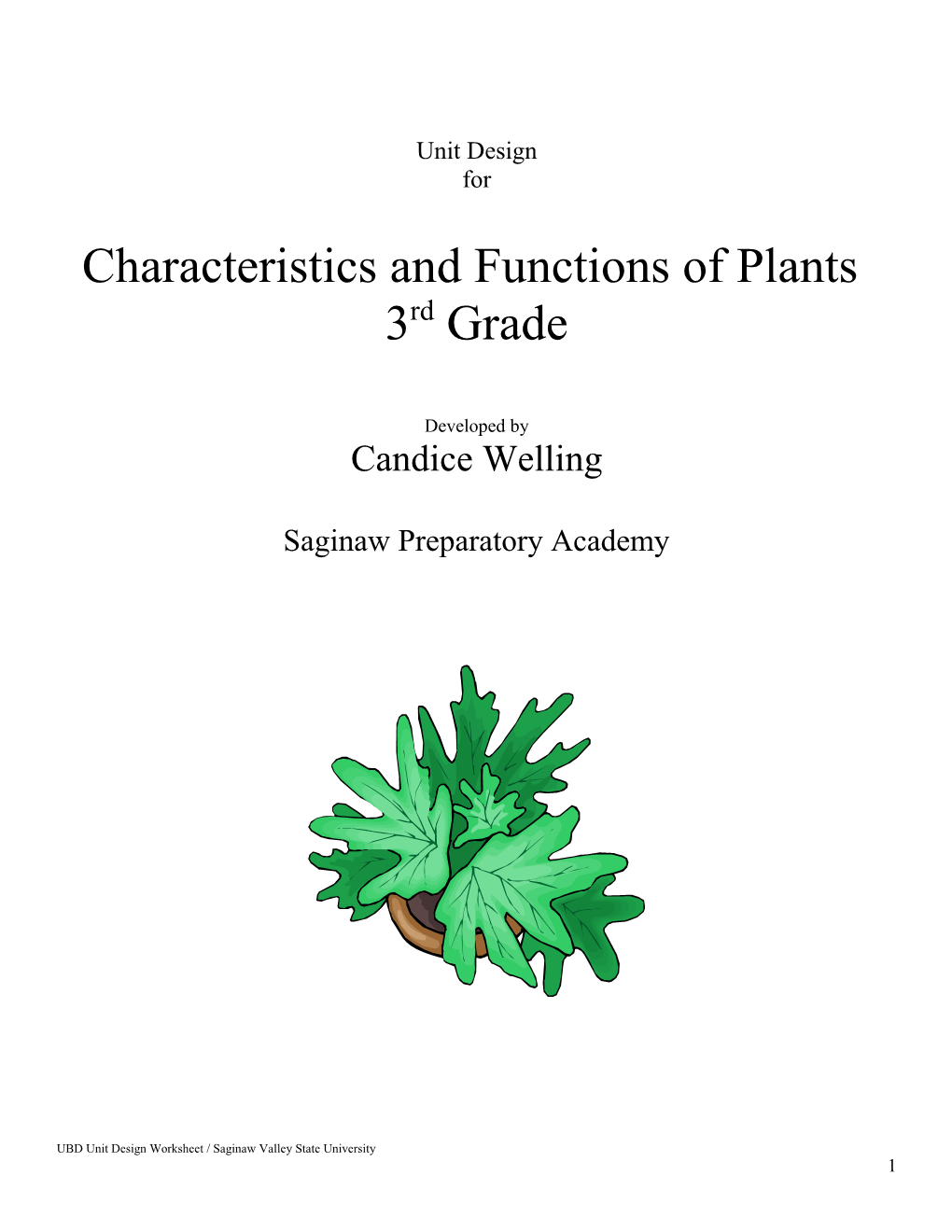 Characteristics and Functions of Plants